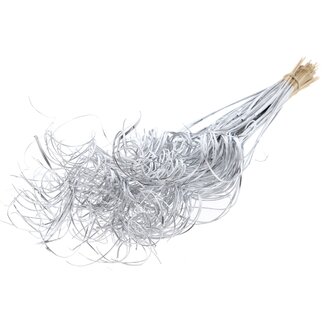 QC Dried Palm Leaf Vein | Curly Ting Ting | Colour: Silver | Length ± 70 centimetres | 3 sprigs per bunch | 33 bunches per bouquet | Per bouquet