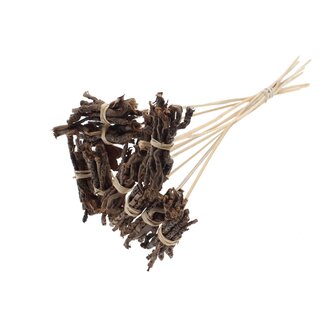 QC Decorative Coco Rose Posy on Stick | Colour: Natural Brown | Coco Rose Posy Stick | Stick Length ± 50 centimetres | 10 sticks per bunch