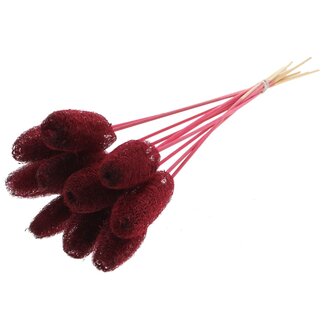 QC Mini Loofah Sponge on stick | Colour: Bordeaux red | Loofah Plant Stick | Length ± 50 centimetres | 10 sticks per bunch
