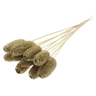 QC Mini Loofah Sponge on stick | Colour: Gold | Loofah Plant Stake | Length ± 50 centimetres | 10 stakes per bunch