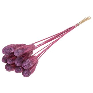 QC Mahogany Seed Pod on Stick | Colour: Metallic Pink | Swietenia Mahagoni Dried Fruit Stick | Stick Length ± 50 centimetres | 10 sticks per bunch