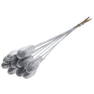 QC Mahogany Seed Pod on Stick | Colour: Silver | Swietenia Mahagoni Dried Fruit Stick | Stick Length ± 50 centimetres | 10 sticks per bunch