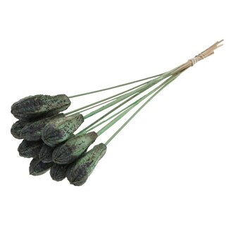 QC Mahogany Seed Pod on Stick | Colour: Frosted Mint Green | Swietenia Mahogany Dried Fruit Stick | Stick Length ± 50 centimetres | 10 sticks per bunch