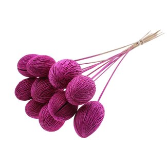 QC Bleached Mintolla Seed Box on Stick | Colour: Lilac | Pong Pong Mintolla Pick Dry Decoration | Length ± 50 centimetres | 10 picks per bunch