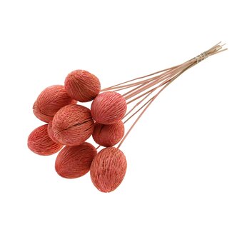 QC Bleached Mintolla Seed Box on stick | Colour: Coral | Pong Pong Mintolla Insert Dry Decoration | Length ± 50 centimetres | 10 inserts per bunch