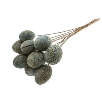 QC Bleached Mintolla Seed Box on Stick | Colour: Light Blue | Pong Pong Mintolla Insert Dry Decoration | Length ± 50 centimetres | 10 inserts per bunch