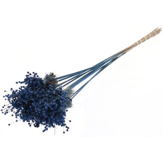 QC Mini Knopfblumensträußchen auf Stiel | Farbe: Blau | Mini Button Einstecker | Länge ± 50 Zentimeter | 10 Einstecker pro Bund