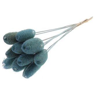 QC Mini Loofah Sponge on stick | Colour: Light Blue | Loofah Plant Stake | Length ± 50 centimetres | 10 stakes per bunch
