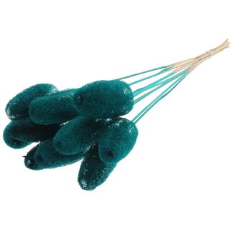 QC Mini Loofah Sponge on stick | Colour: Turquoise | Loofah Plant Stake | Length ± 50 centimetres | 10 stakes per bunch