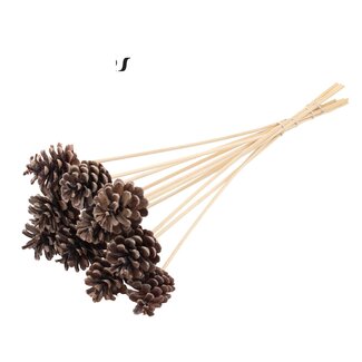 QC Pine cone on stick | Colour: Frosted White | Diameter 5 - 7 centimetres | Length ± 50 centimetres | 10 picks per bunch