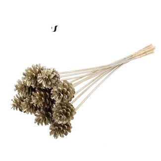 QC Pine cone on stick | Colour: Platinum with Glitter | Diameter 5 - 7 centimetres | Length ± 50 centimetres | 10 picks per bunch