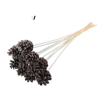 QC Pine cone on stick | Colour: Frosted Light Blue | Diameter 5 - 7 centimetres | Length ± 50 centimetres | 10 picks per bunch