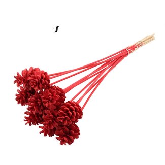 QC Pine cone on stick | Colour: Red | Diameter 5 - 7 centimetres | Length ± 50 centimetres | 10 picks per bunch