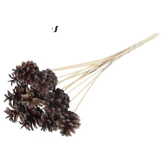 QC Pine cone on stick | Colour: Brown with Metallic Graphite Tipped | Diameter 5 - 7 centimetres | Length ± 50 centimetres | 10 picks per bunch