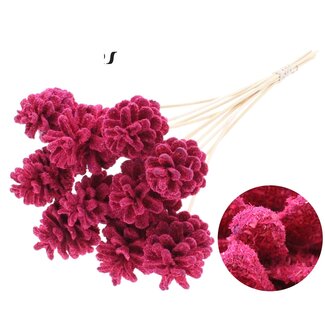 QC Pine cone on stick | Colour: Sawdust Cherry Colour | Diameter 5 - 7 centimetres | Length ± 50 centimetres | 10 picks per bunch