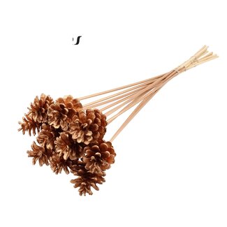 QC Pine cone on stick | Colour: Antique Gold | Diameter 5 - 7 centimetres | Length ± 50 centimetres | 10 picks per bunch