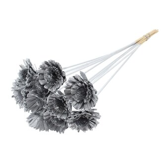 QC Shola Madelief Sonnenblume am Stab | Farbe: Silberfarben | Shola Gänseblümchen Sonnenblume | Durchmesser 6 centimeter | Länge ± 50 centimeter | 10 Blumenstecker pro Bund | Pro Bund