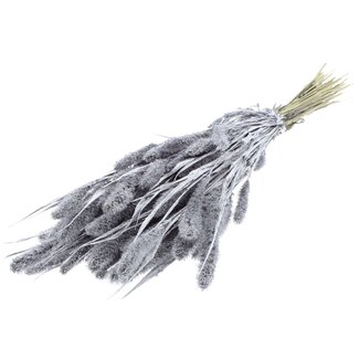 QC Getrocknete Setaria | Farbe: Silberfarben mit Glitzer | Setaria Trockenblumen | Länge ± 70 Zentimeter | Gewicht 210 Gramm | Pro Bund