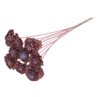 QC Cedar Rose am Stiel | Farbe: Gefrostetes Hellrosa | Kiefernzapfen-Stecker | Länge ± 50 centimeter | 10 Stecker pro Bund