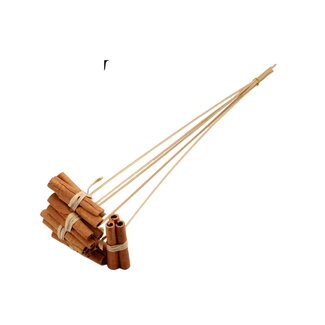 QC Dried fruit Cinnamon stick Bouquet on stem | Colour: Natural Brown | 3 cinnamon sticks per bundle | Cinnamon stick length 8 centimeter | Stem pick length ± 50 centimeter | 5 stem picks per bunch