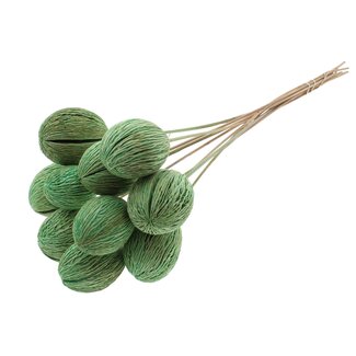 QC Bleached Mintolla Seed Box on stick | Colour: Mint Green | Pong Pong Mintolla Insert Dried Decoration | Length ± 50 centimetres | 10 inserts per bunch