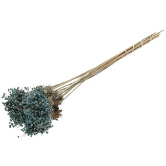 QC Mini Button Flower Bouquet on Stick | Colour: Light Blue | Mini Button Insert | Length ± 50 centimetres | 10 inserts per bunch