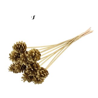 QC Pinecone on stick | Colour: Gold with Glitter | Diameter 5 - 7 centimetres | Length ± 50 centimetres | 10 picks per bunch
