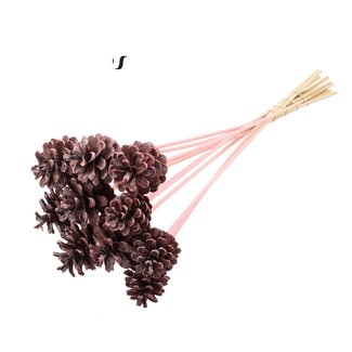 QC Pine cone on stick | Colour: Frosted Pink | Diameter 5 - 7 centimetres | Length ± 50 centimetres | 10 picks per bunch