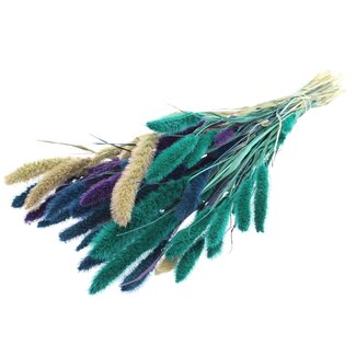 QC Getrocknete Setaria „Scandinavian Mix“ | Farbe: Gemischte Farben | Setaria Trockenblumen | Länge ± 70 Zentimeter | Gewicht 210 Gramm | Pro Bund
