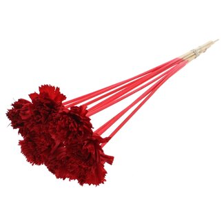 QC Shola Karnish Blume am Stiel | Farbe: Rot | Durchmesser 6 centimeter | Länge ± 50 centimeter | 10 Anstecker pro Bund | Pro Bund