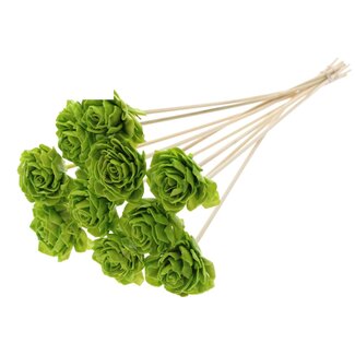 QC Shola Dahlia mit Wachs auf Stiel | Farbe: Hellgrün | Shola Dhalya | Durchmesser 6 centimeter | Länge ± 50 centimeter | 10 Beistecker pro Bund | Pro Bund