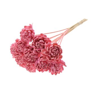 QC Shola-Rose am Stiel | Farbe: Hellrosa | Shola New Beauty Rose | Durchmesser 8 centimeter | Länge ± 50 centimeter | 10 Beistecker pro Bund | Pro Bund