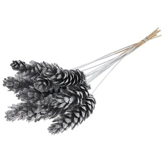 QC Strobus Kiefernzapfen auf Stab | Farbe: Silberfarben | Kiefernzapfen-Stecker | Länge ± 50 Zentimeter | 10 Stecker pro Bund