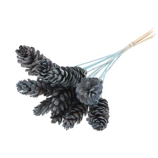 QC Strobus Pinecone on stick | Colour: Frosted Light Blue | Pinecone Pick | Length ± 50 centimetres | 10 picks per bunch