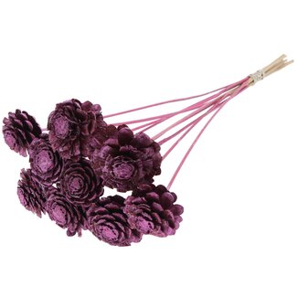 QC Half Pine Cone on Stick | Colour: Metallic Pink | Diameter 5 - 7 centimetres | Length ± 50 centimetres | 10 picks per bunch