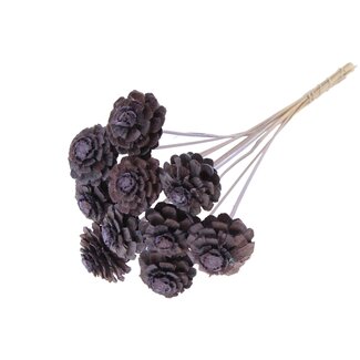 QC Half Pine Cone on Stick | Colour: Frosted Milka Purple | Diameter 5 - 7 centimetres | Length ± 50 centimetres | 10 picks per bunch