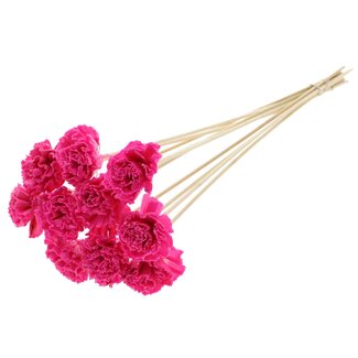 QC Shola Karnish Blume mit Wachs am Stiel | Farbe: kirschfarben | Durchmesser 6 centimeter | Länge ± 50 centimeter | 10 Beistecker pro Bund | Pro Bund