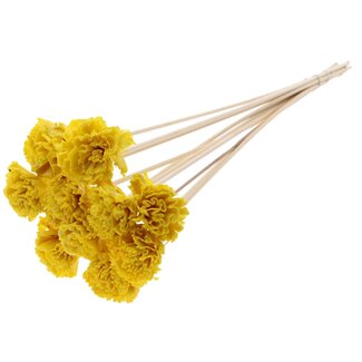 QC Shola Karnish Blume mit Wachs auf Stiel | Farbe: Gelb | Durchmesser 6 centimeter | Länge ± 50 centimeter | 10 Stecker pro Bund | Pro Bund