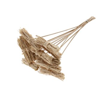 QC White Lady Posy on Stick | Colour: Natural Light Brown | White Lady Posy Stick | Length ± 50 centimetres | 10 sticks per bunch