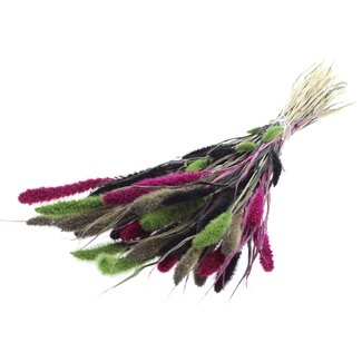 QC Getrocknete Setaria „Bunt 8“ | Farbe: Gemischte Farben | Setaria Trockenblumen | Länge ± 70 Zentimeter | Gewicht 210 Gramm | Pro Bund