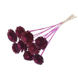 QC Half Pine Cone on Stick | Colour: Lilac | Diameter 5 - 7 centimetres | Length ± 50 centimetres | 10 picks per bunch