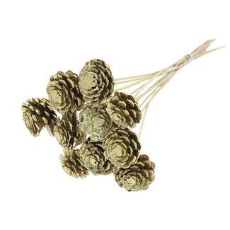 QC Half Pine Cone on Stick | Colour: Gold | Diameter 5 - 7 centimetres | Length ± 50 centimetres | 10 picks per bunch