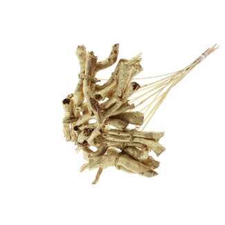 QC Gandiraj Branches on Stick | Colour: Metallic Gold | Gandiraj Insert Stick | Length ± 50 centimetres | 10 insert sticks per bunch