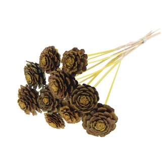 QC Half Pine Cone on Stick | Colour: Yellow | Diameter 5 - 7 centimetres | Length ± 50 centimetres | 10 picks per bunch