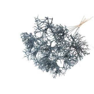 QC Dry Tree on stick | Colour: Light Blue | Dry Tree Stick | Stick length ± 50 centimetres | 10 sticks per bunch