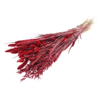 QC Trockenblumenmischung Strauß | Farbe: Rot | Länge ± 60 Zentimeter | Pro Bund