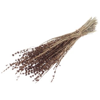 QC Dried Lavender | Colour: Brown | Lavender Dried Flowers | Length ± 50 centimetres | Per bunch