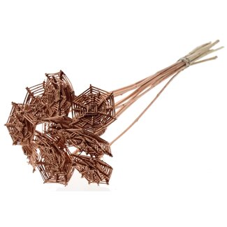 QC Rattan Lata Spiderweb on stick | Colour: Copper-coloured | Lata Spiderweb flat Plant Stake | Length ± 50 centimetres | 10 plant stakes per bunch
