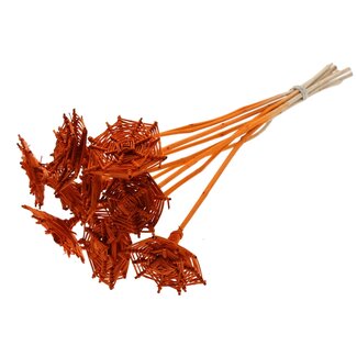 QC Rattan Lata Spiderweb on Stick | Colour: Orange | Lata Spiderweb Flat Plant Stake | Length ± 50 centimetres | 10 plant stakes per bunch
