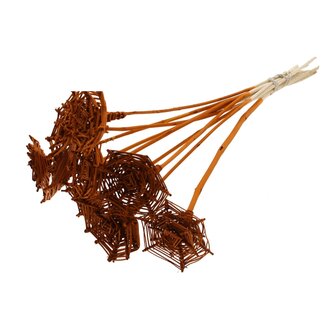 QC Rattan Lata Spiderweb on stick | Colour: Terracotta | Lata Spiderweb flat Plant Stake | Length ± 50 centimetres | 10 plant stakes per bunch
